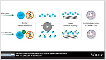 Infographic-Creation-img3