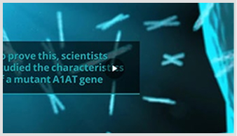 article promotion- two