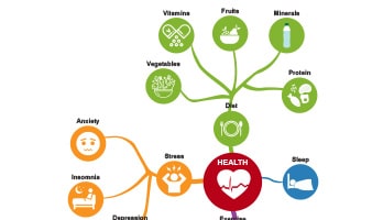 Academic Illustration