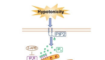 Academic Illustration