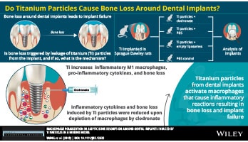 Infographic Creation