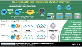 Infographic Creation