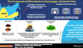 Infographic Creation