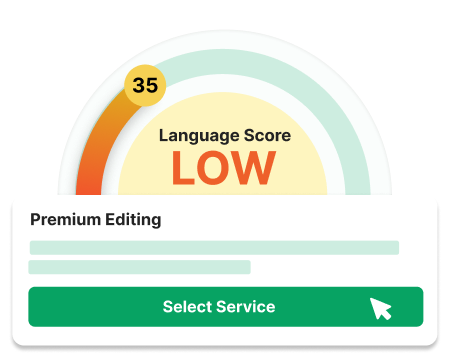 Wiley Language Checker